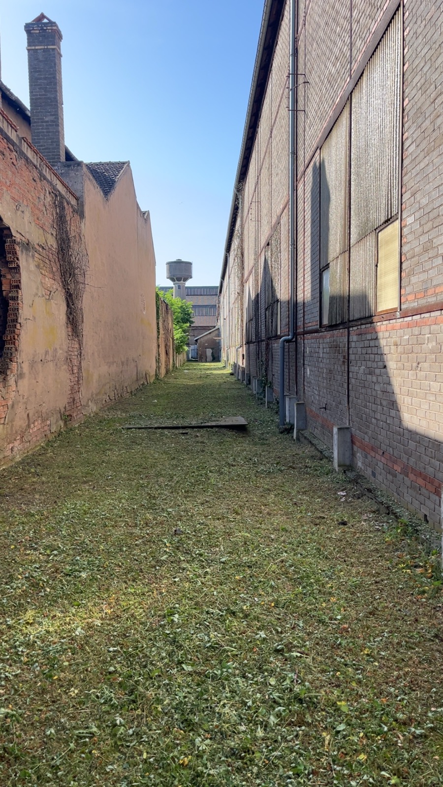 Après - 🌾 Débroussaillage d'une allée