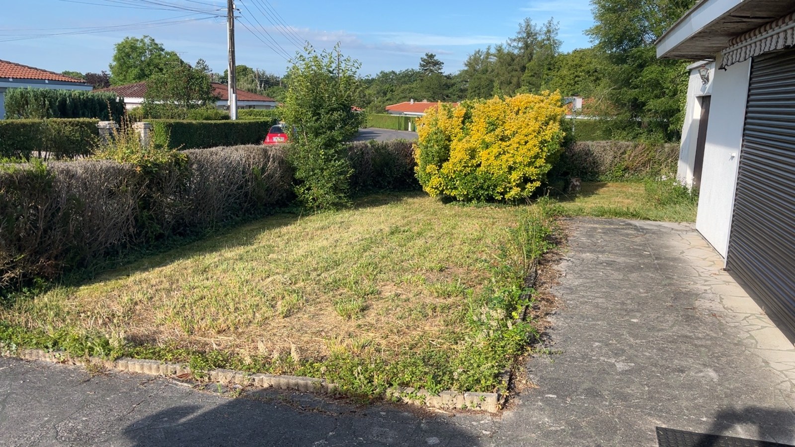Avant - 🌱 Remise en état d'une pelouse