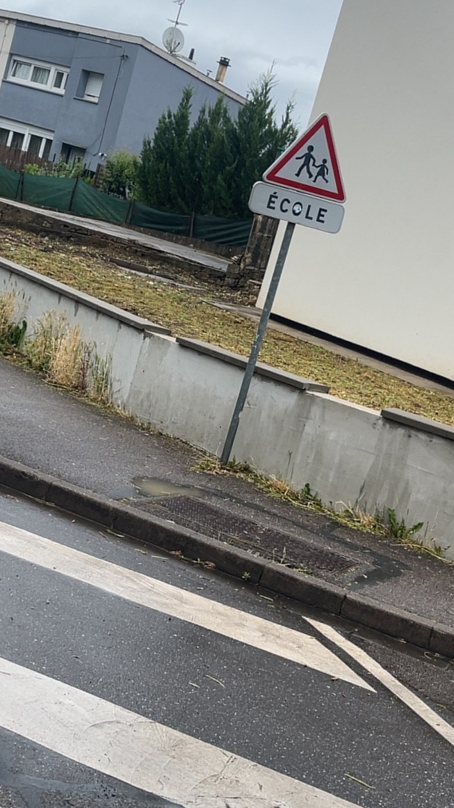 Après - 🛣️ Débroussaillage d'un talus