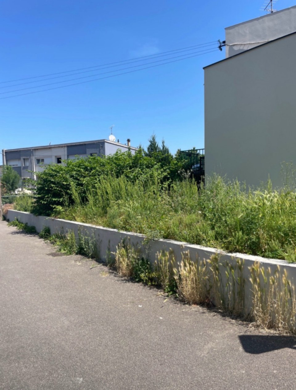 Avant - 🛣️ Débroussaillage d'un talus