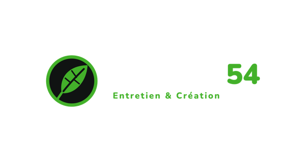 Paysage 54
